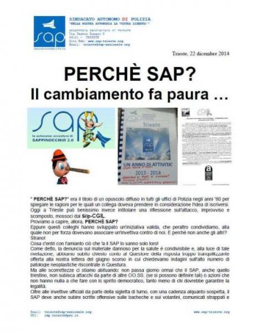 2015-Un anno di SAP-pag051